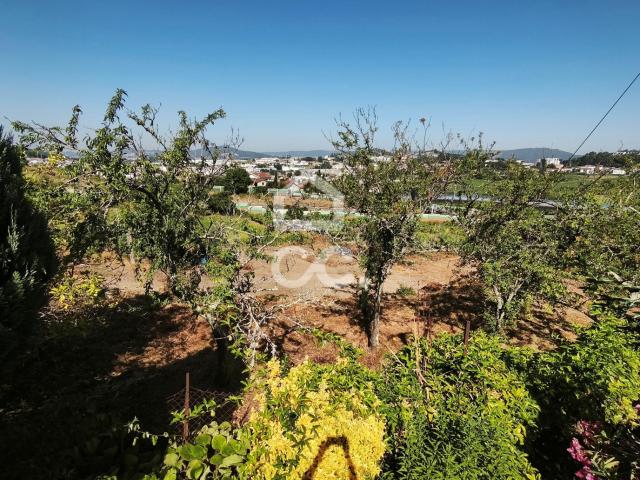 Terreno venda em Guimarães, Braga