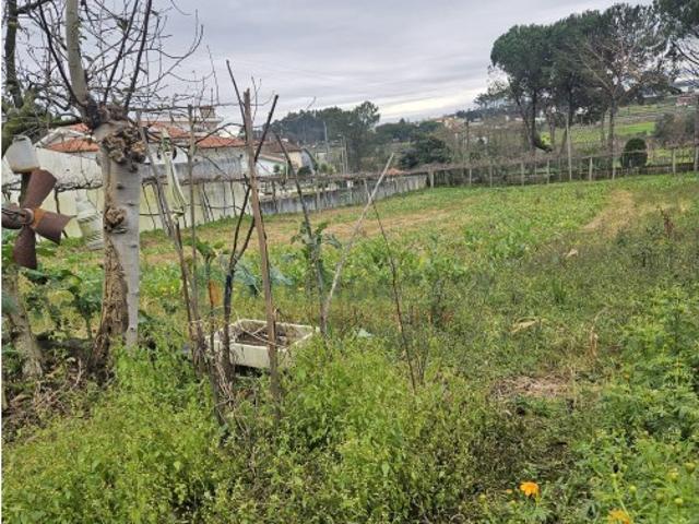 Terreno venda em Carvalhal, Arcozelo