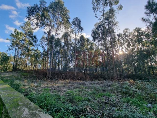 Terreno venda em Alvelos, Arcozelo