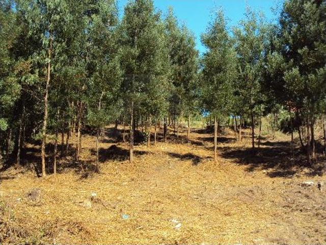 Terreno venda em Mozelos, Viana Do Castelo