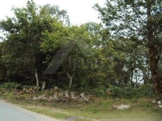 Terreno venda em Castanheira, Viana Do Castelo