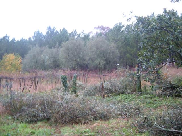 Terreno venda em Rebordões (Souto), Ponte de Lima