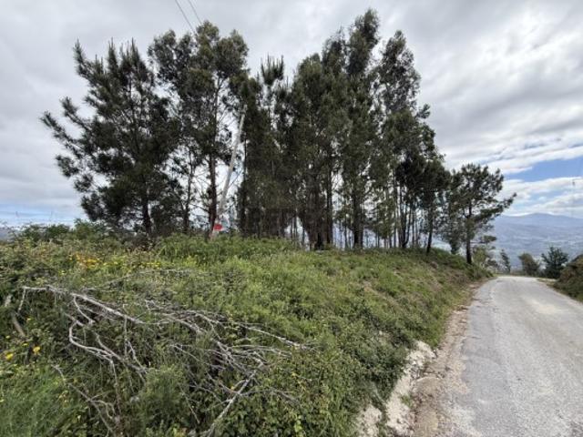 Terreno venda em Arcos De Valdevez, Viana Do Castelo