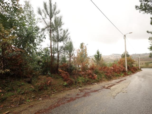 Terreno venda em Cernadelo e Lousada (São Miguel e Santa Margarida), Lousada