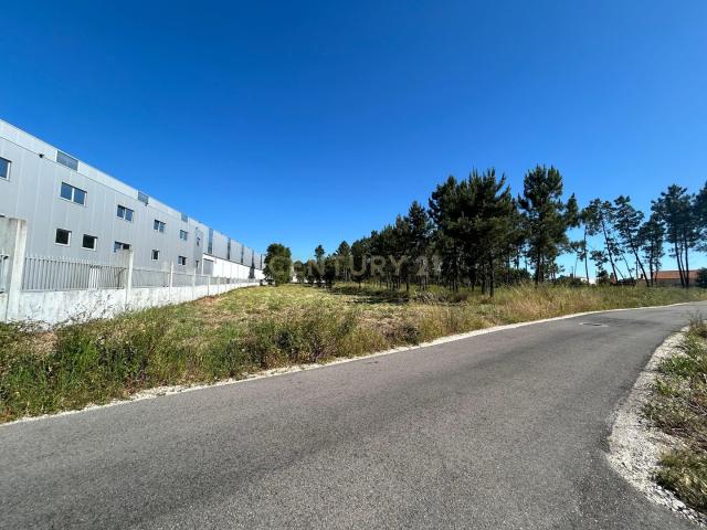 Terreno venda em Leiria