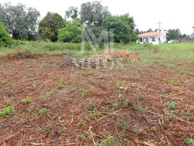 Terreno venda em Viana Do Castelo