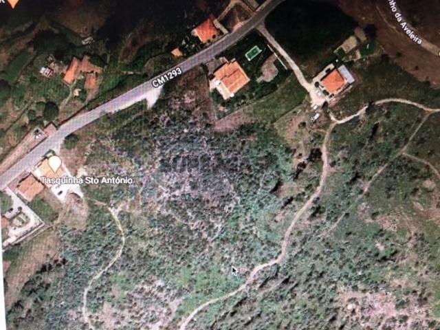 Terreno venda em Santiago de Subarrifana, Marecos
