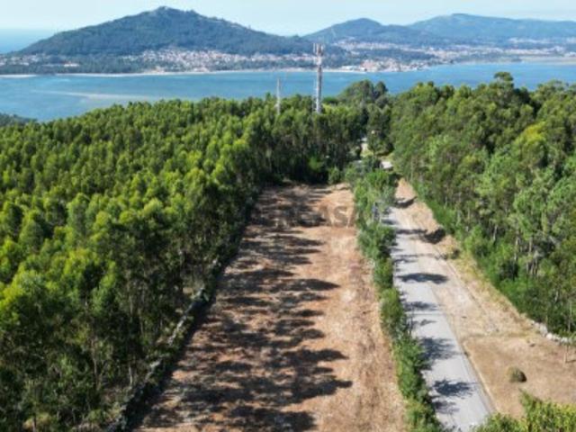 Terreno venda em Caminha, Terreiro Terreno venda em Caminha, Terreiro