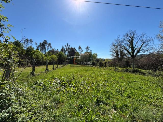 Terreno venda em Campos de Sá, Arcos De Valdevez