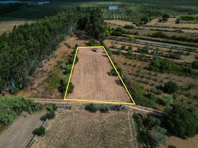 Terreno venda em Montemor-o-velho, Coimbra