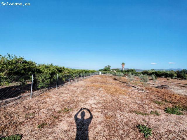 Local Comercial en venta en el Camp de Morvedre, Valencia