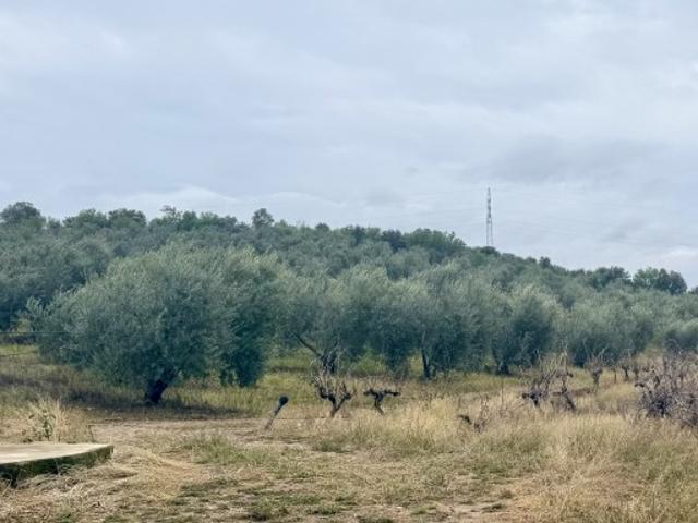 Terreno en venta en La Albuera, Tierra de Badajoz
