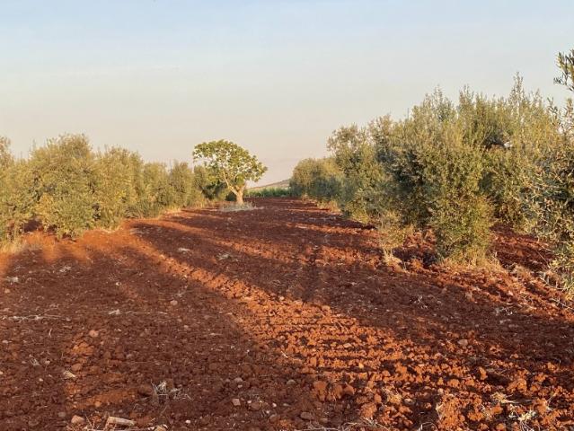 Terreno en venta en Santa Marta