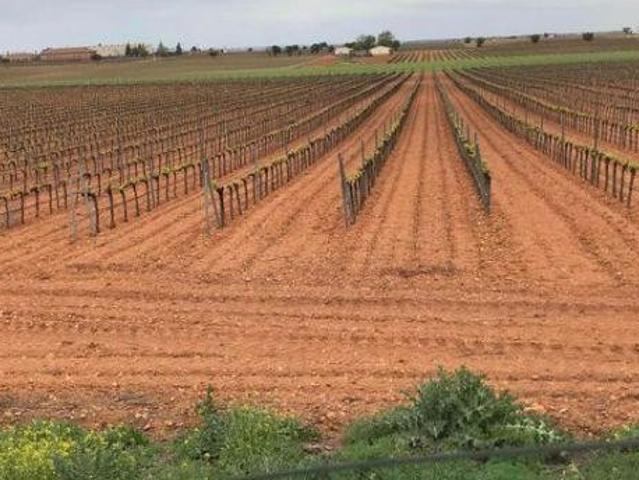 Terreno en venta en Socuéllamos, Castilla-La Mancha