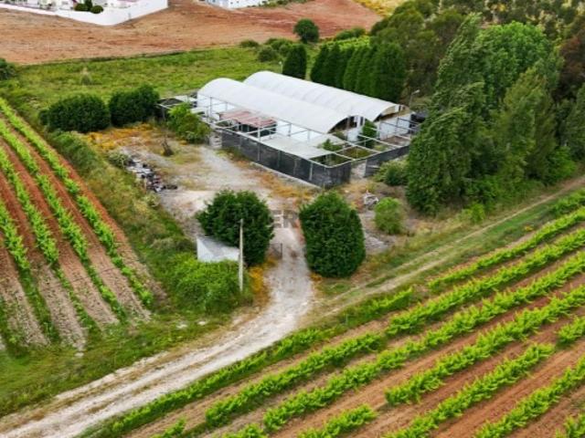 Terreno venda em Torres Vedras, Lisboa