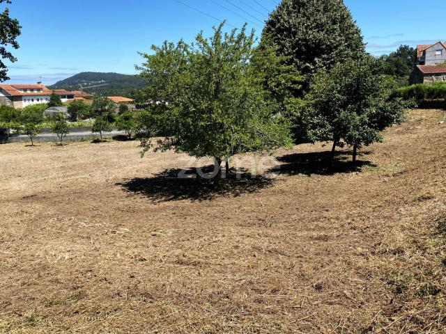 Terreno venda em Esposende, Braga