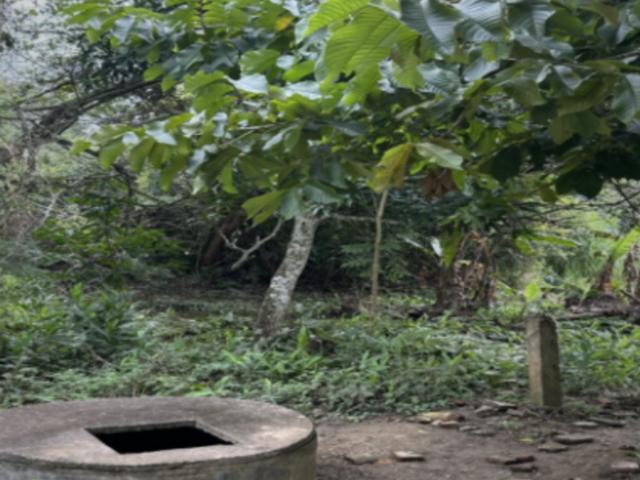 Terreno en venta en San Fernando, Chiapas