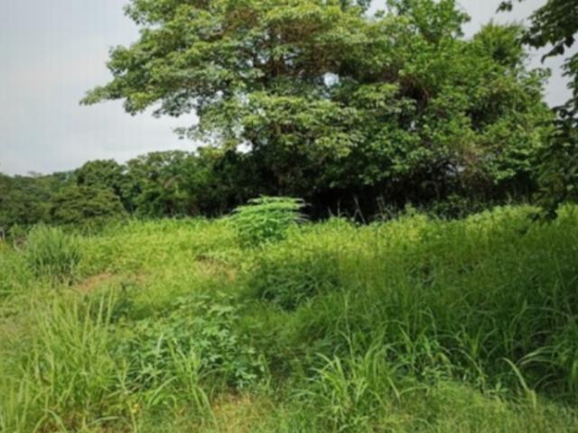 Terreno en venta en Macuspana, Tabasco