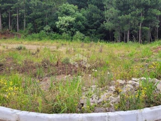 Terreno venda em Região Geográfica Imediata de Caxias do Sul, Farroupilha
