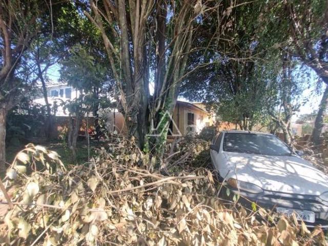 Terreno venda em Região Geográfica Imediata de Passo Fundo, Passo Fundo