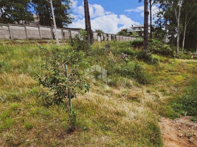 Terreno venda em Região Geográfica Imediata de Caxias do Sul, Caxias do Sul