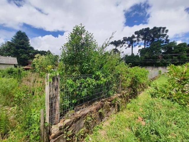 Terreno venda em Região Geográfica Imediata de Caxias do Sul, Canela