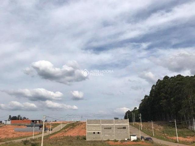 Terreno venda em Região Geográfica Imediata de Montenegro, Região Metropolitana de Porto Alegre