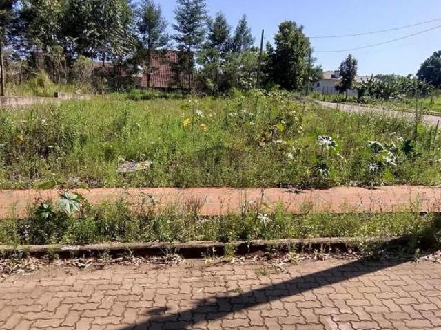Terreno venda em Região Geográfica Imediata de Novo Hamburgo - São Leopoldo, Região Metropolitana de Porto Alegre