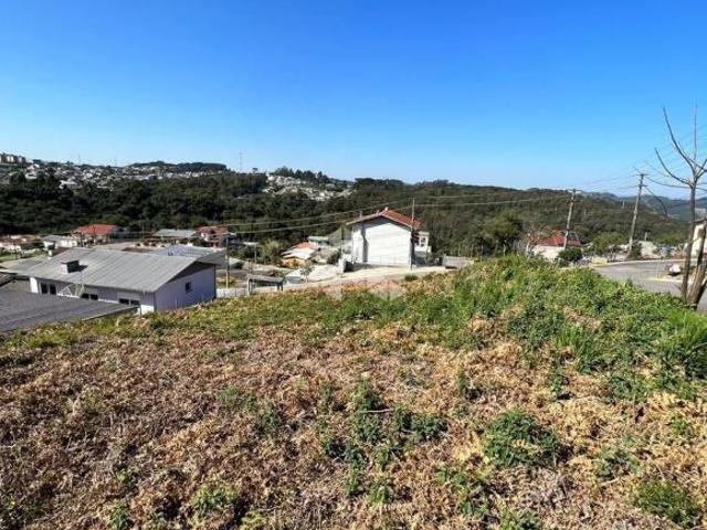 Terreno venda em Região Geográfica Imediata de Caxias do Sul, Farroupilha