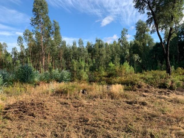 Terreno venda em Pedrógão Grande, Leiria
