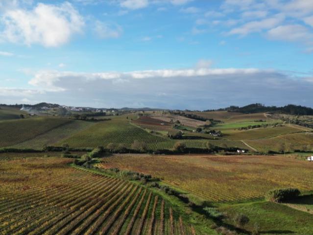 Terreno venda em Santa Maria, São Pedro e Matacães, Torres Vedras