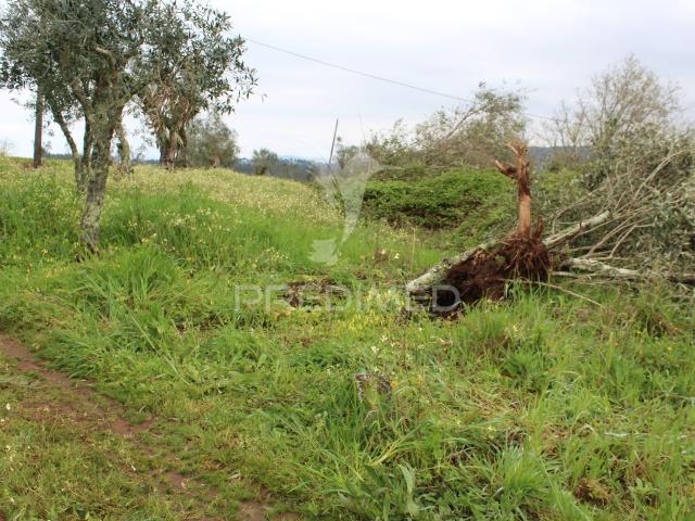 Terreno venda em Alvaiázere, Leiria