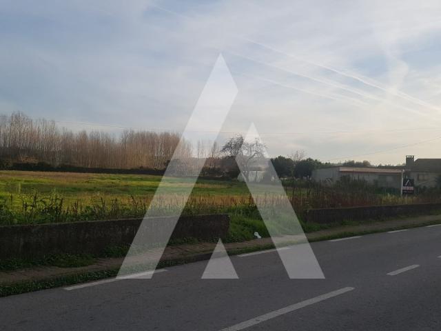 Terreno venda em Anadia, Aveiro
