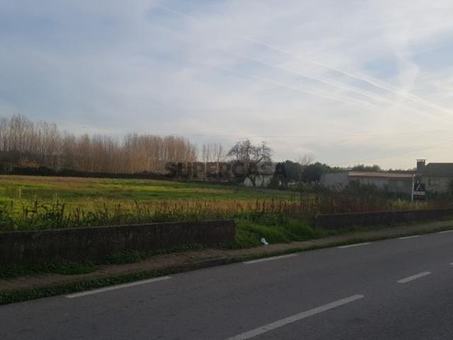 Terreno venda em Anadia, Aveiro