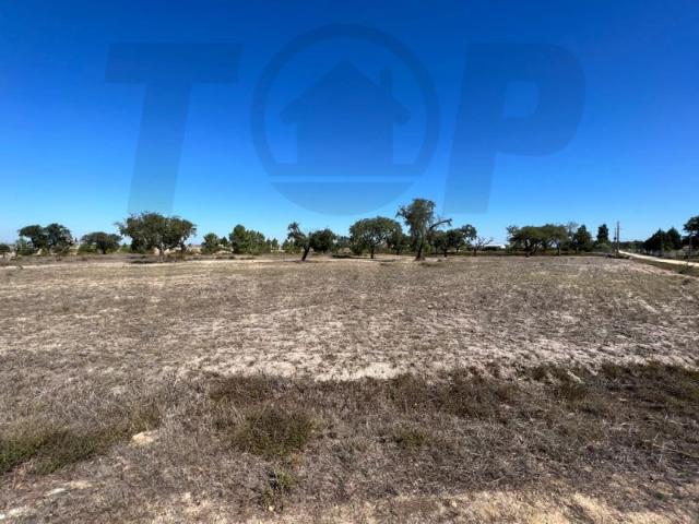 Terreno venda em Salvaterra De Magos, Santarém
