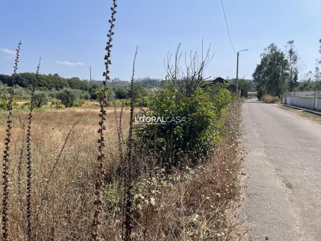 Terreno venda em Águeda, Aveiro