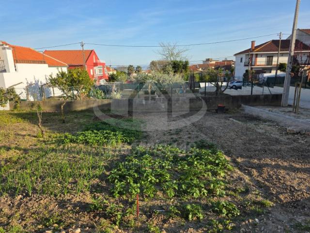 Terreno venda em Portela da Azóia, Santiago Dos Velhos