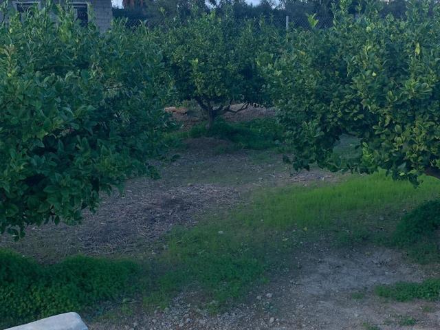 Terreno en venta en Los Ramos, Área Metropolitana de Murcia