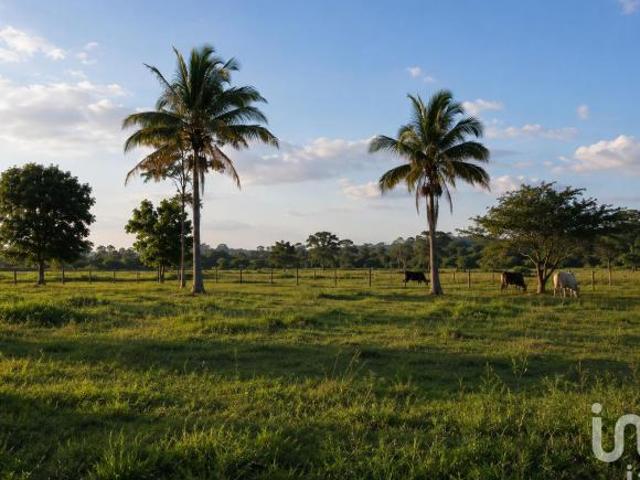 Terreno en venta en Las Choapas, Veracruz