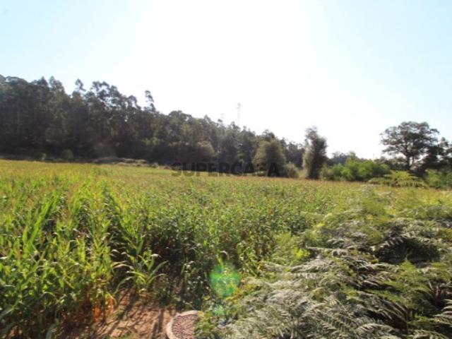 Terreno venda em Esposende Terreno venda em Esposende
