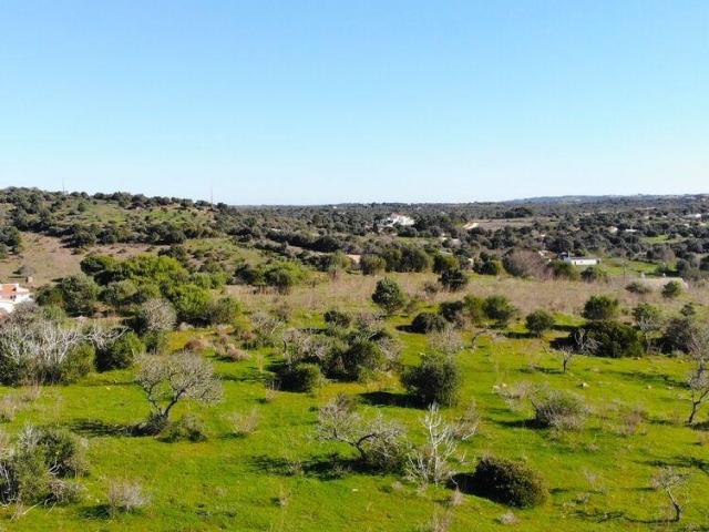 Terreno venda em Vila Do Bispo, Faro
