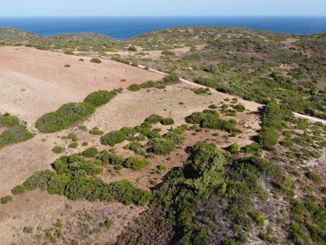 Terreno venda em Vila Do Bispo, Faro