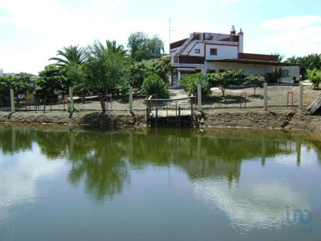 Terreno venda em Cabeça Gorda, Beja