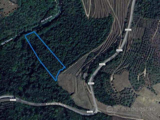 Terreno venda em Lamego, Viseu