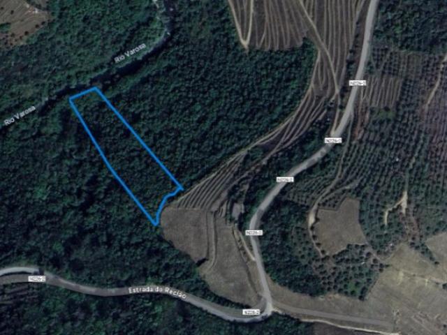 Terreno venda em Lamego, Viseu