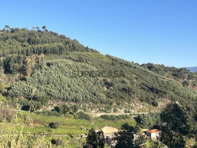 Terreno venda em Baião, Porto