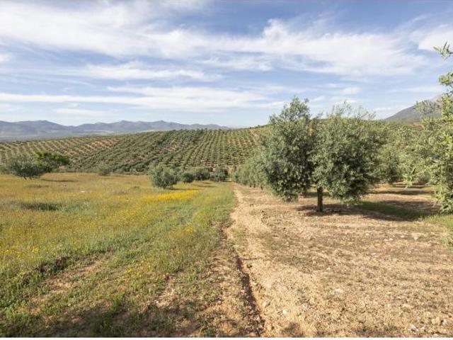 Local Comercial en venta en Comarca de la Vega de Granada, Andalucía