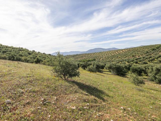 Terreno en venta en Comarca de la Vega de Granada, Andalucía