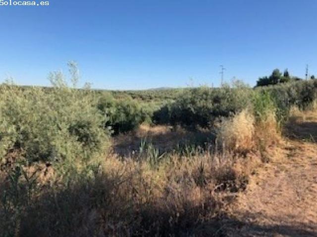 Local Comercial en venta en Güevéjar, Granada