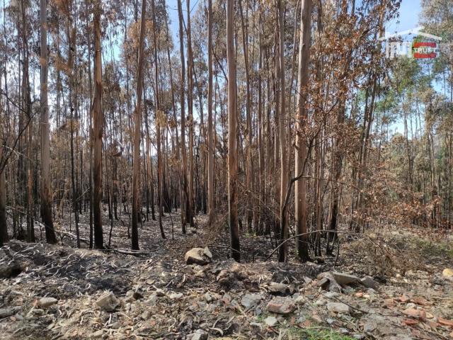 Terreno venda em Ourém, Santarém